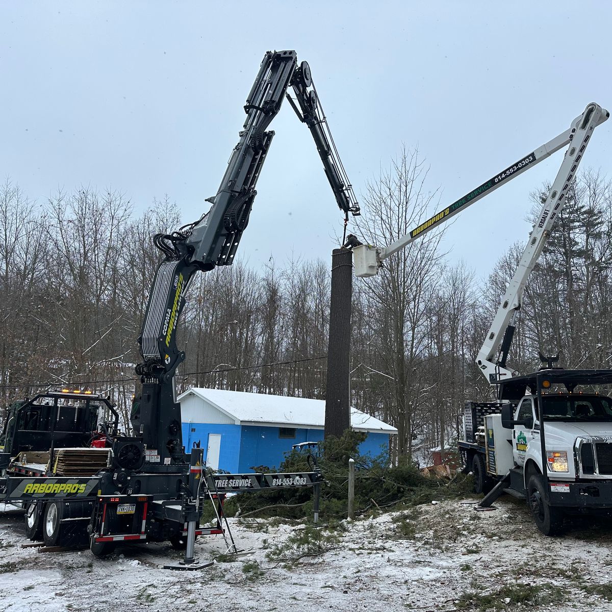 Crane and bucket truck working a roadside tree in snow