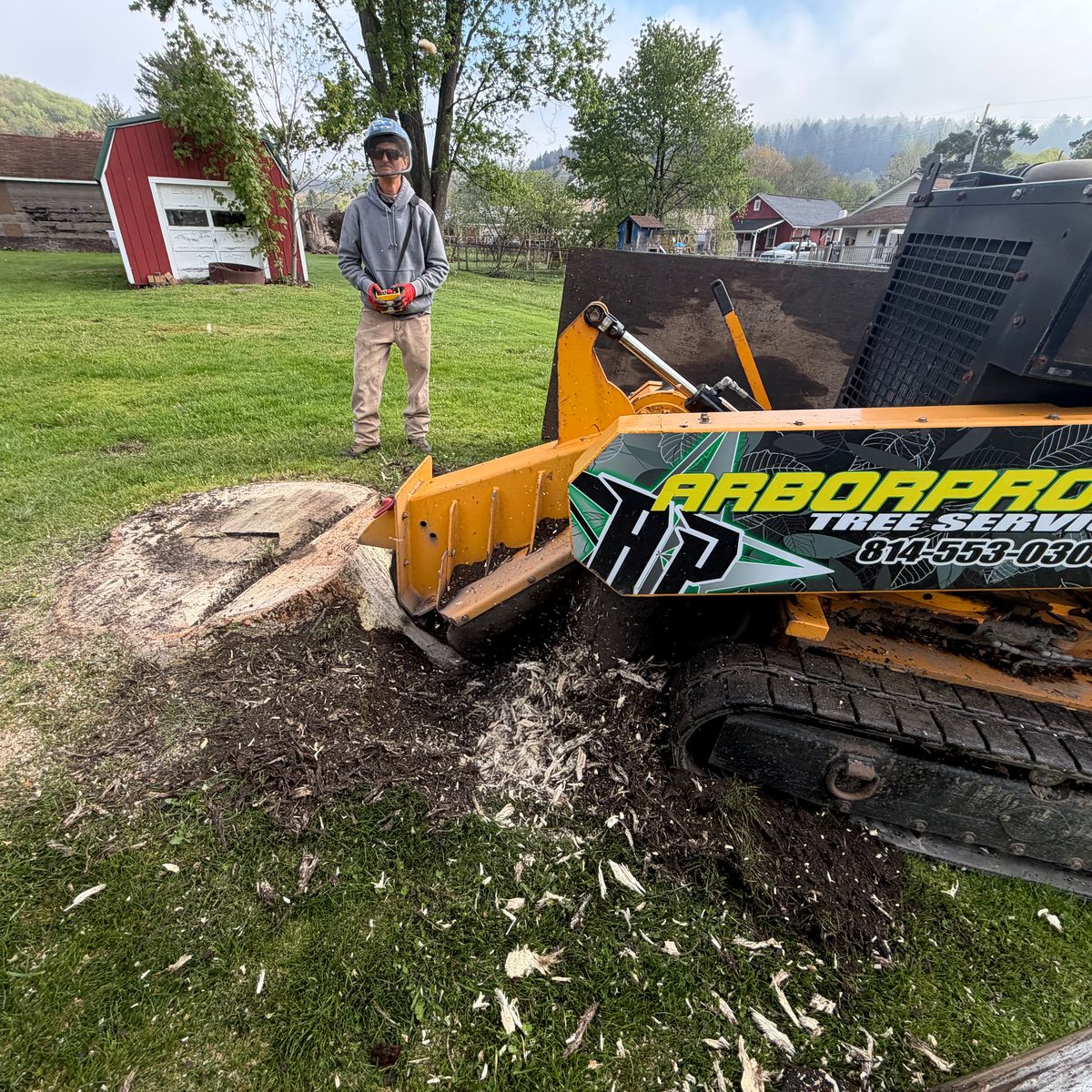 Crew member operating a tracked stump grinder beside a large cut stump