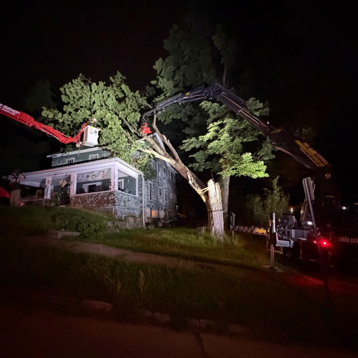 Night storm job with a leaning tree against a house