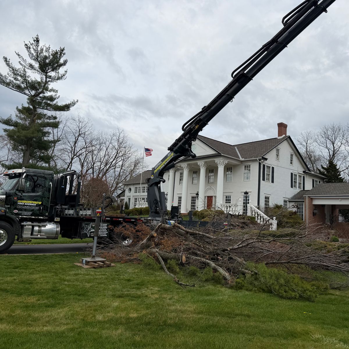 Crane truck alongside a white colonial house with the felled tree sectioned on the lawn