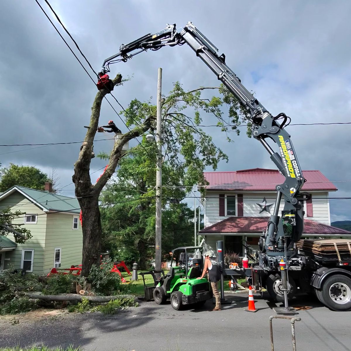 Crane and spider lift taking a leaning tree down beside utility lines