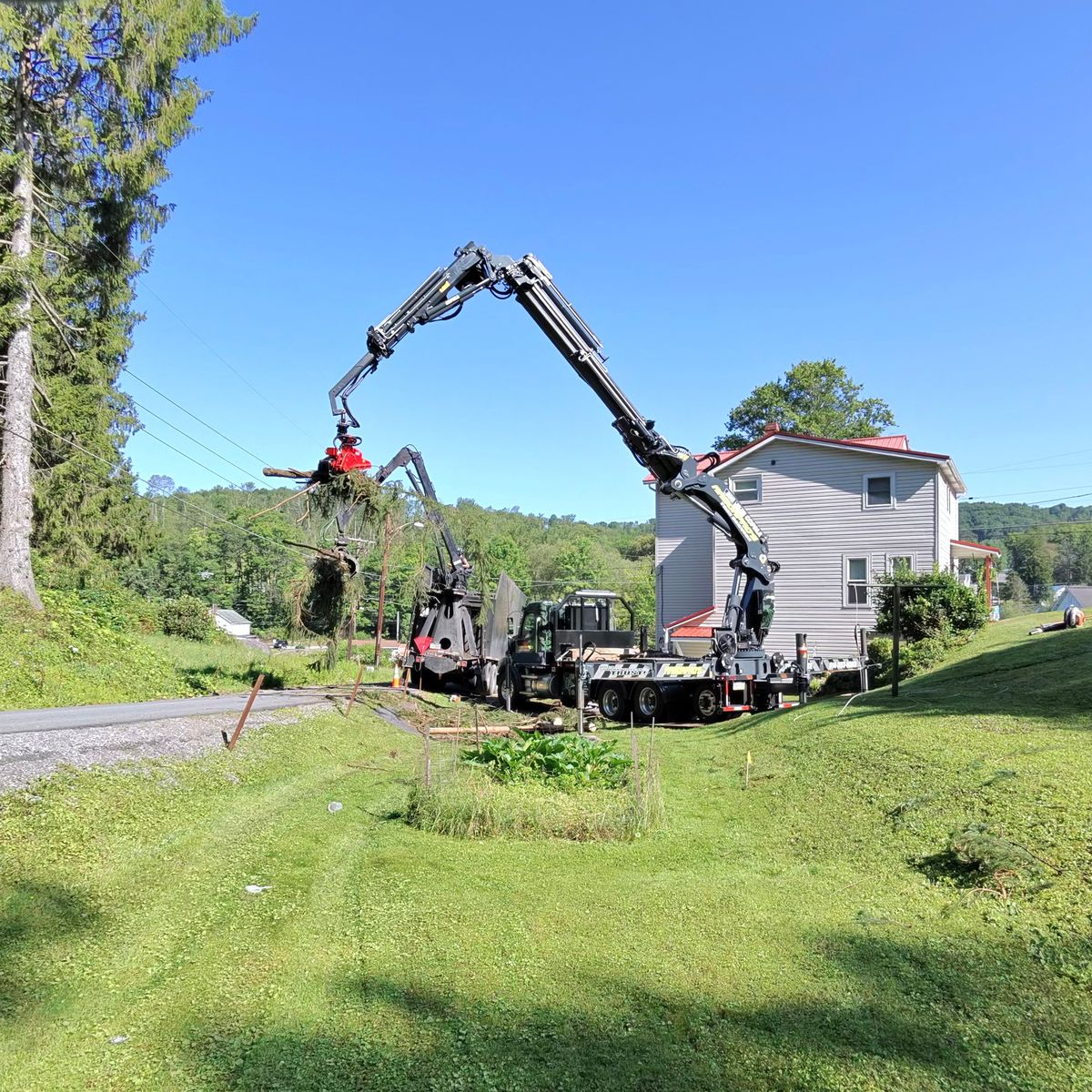 Crane lifting a branch beside a white two-story house