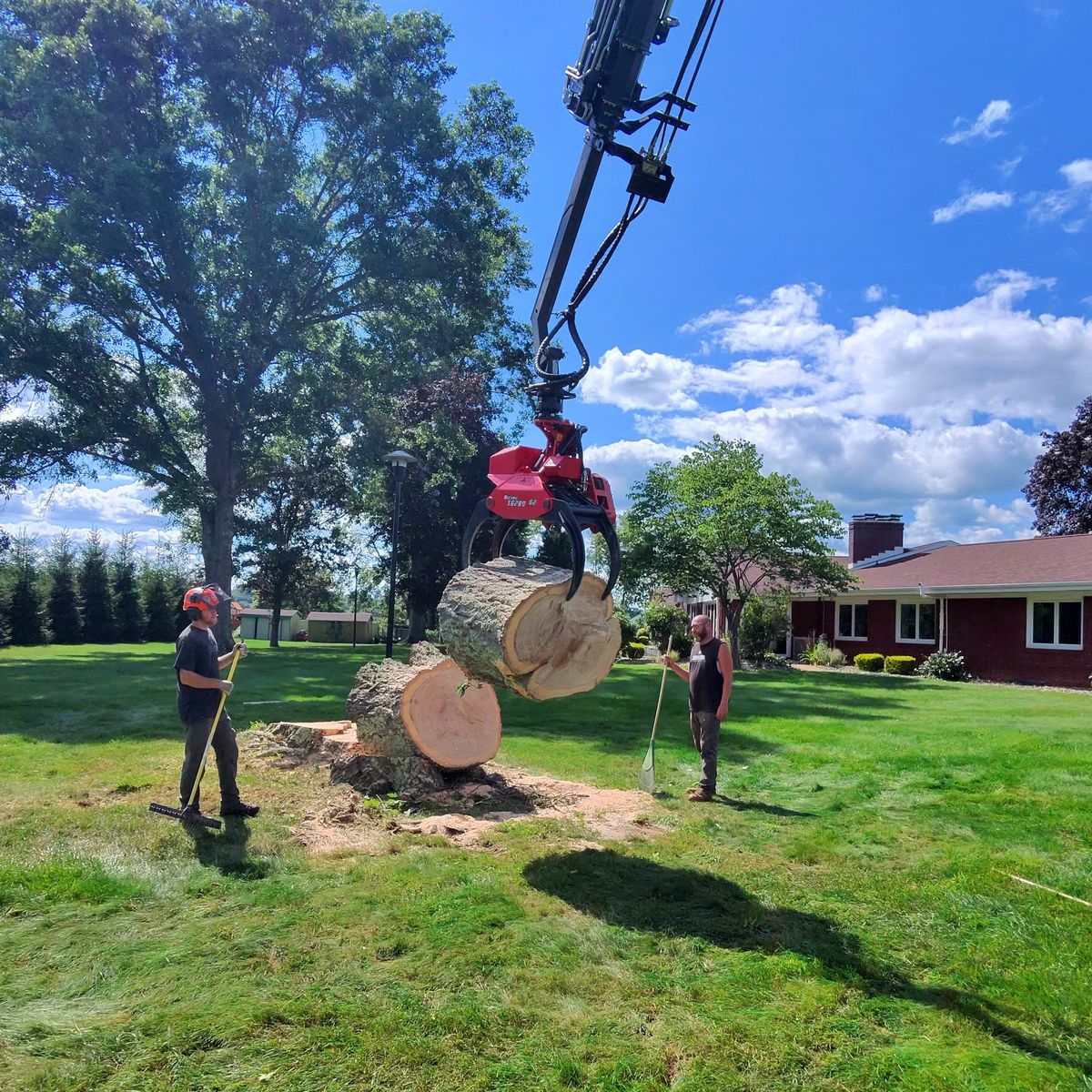 Crane grapple holding a cut log while two crew members stand by