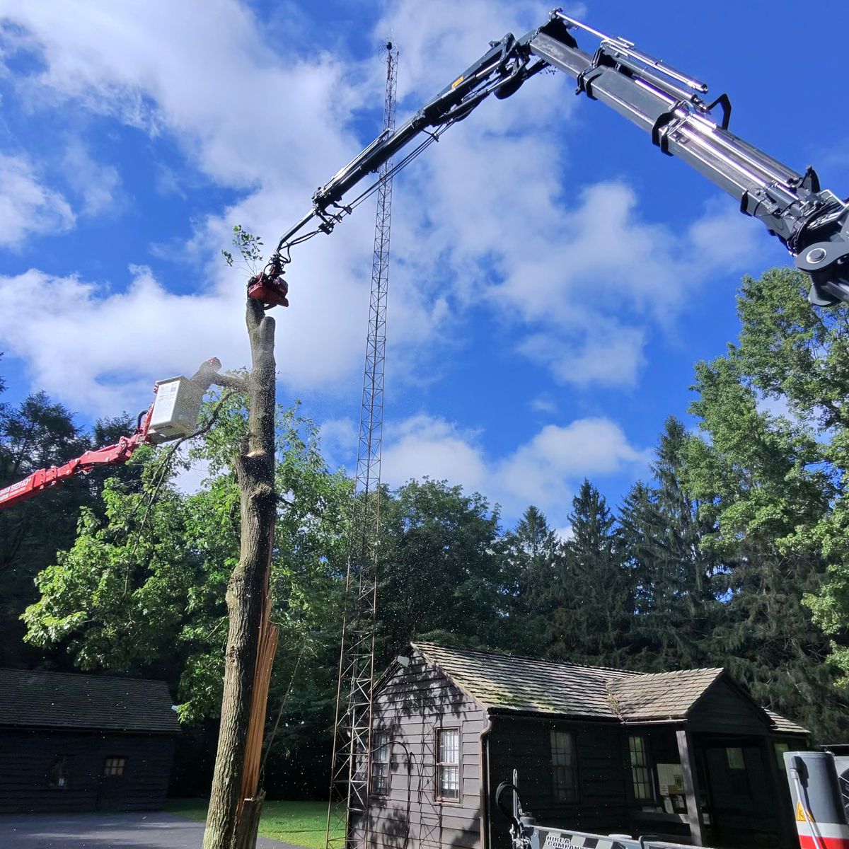 Crane truck on a tree removal job