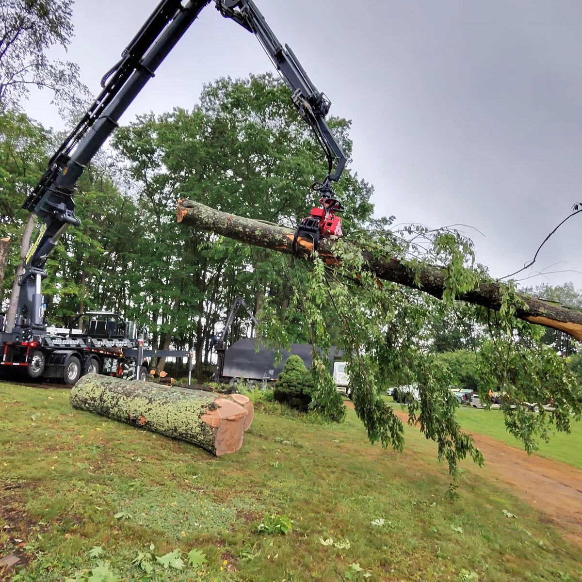 Crane lowering a large limb beside a log on the lawn