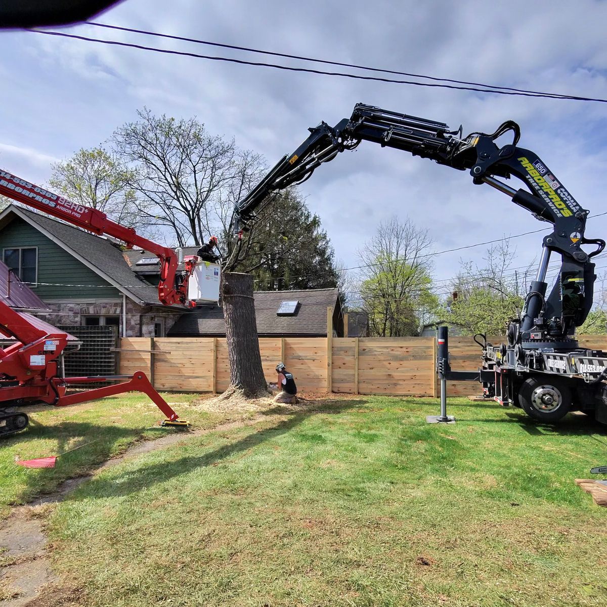 Crane and spider lift removing a tree