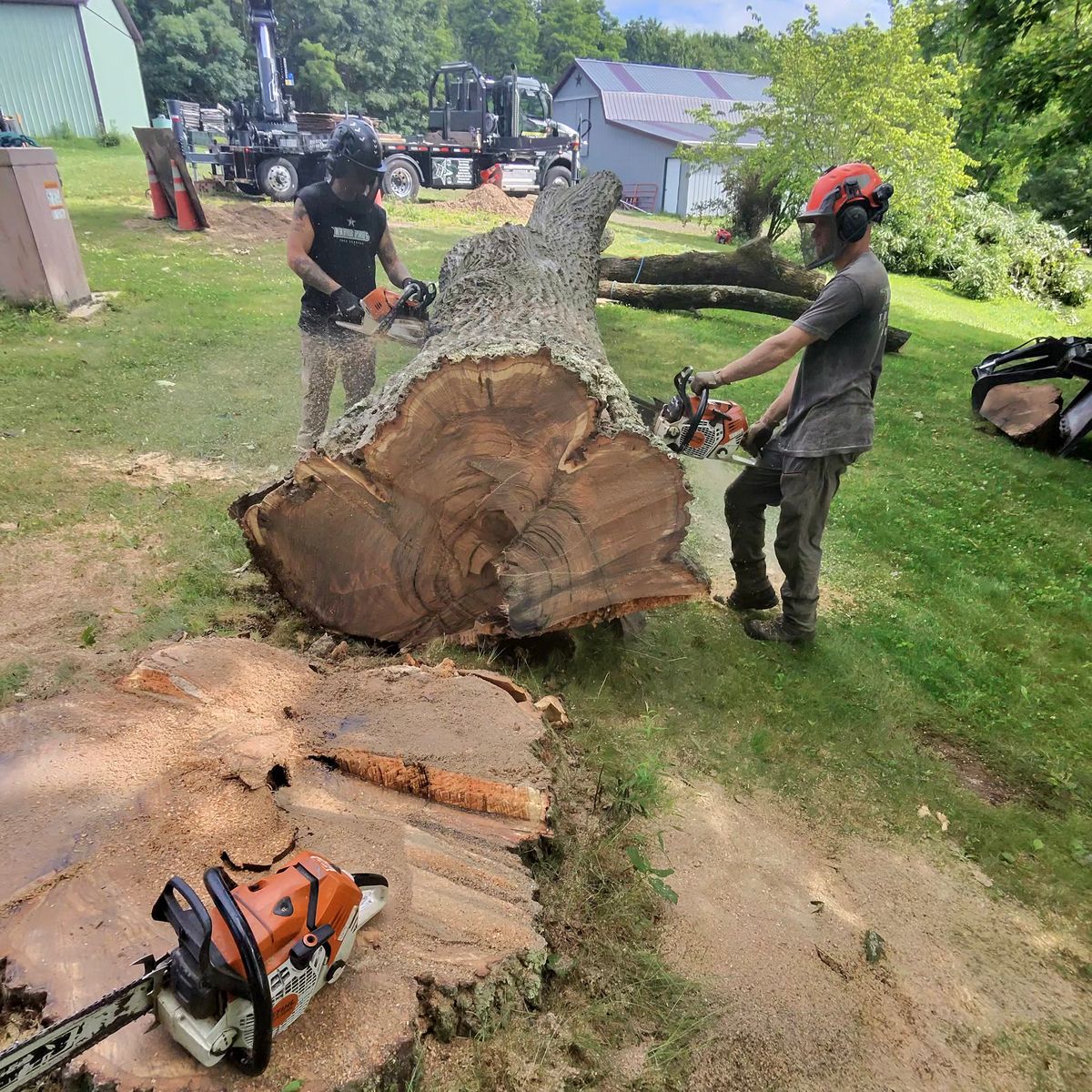 Two crew members cutting a trunk