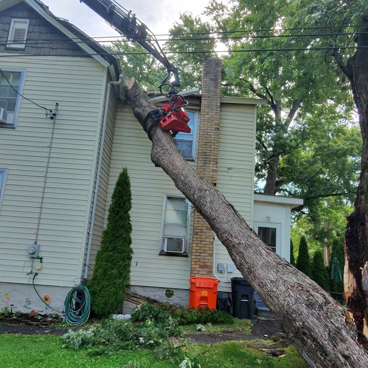 Tree leaning on a house after a storm