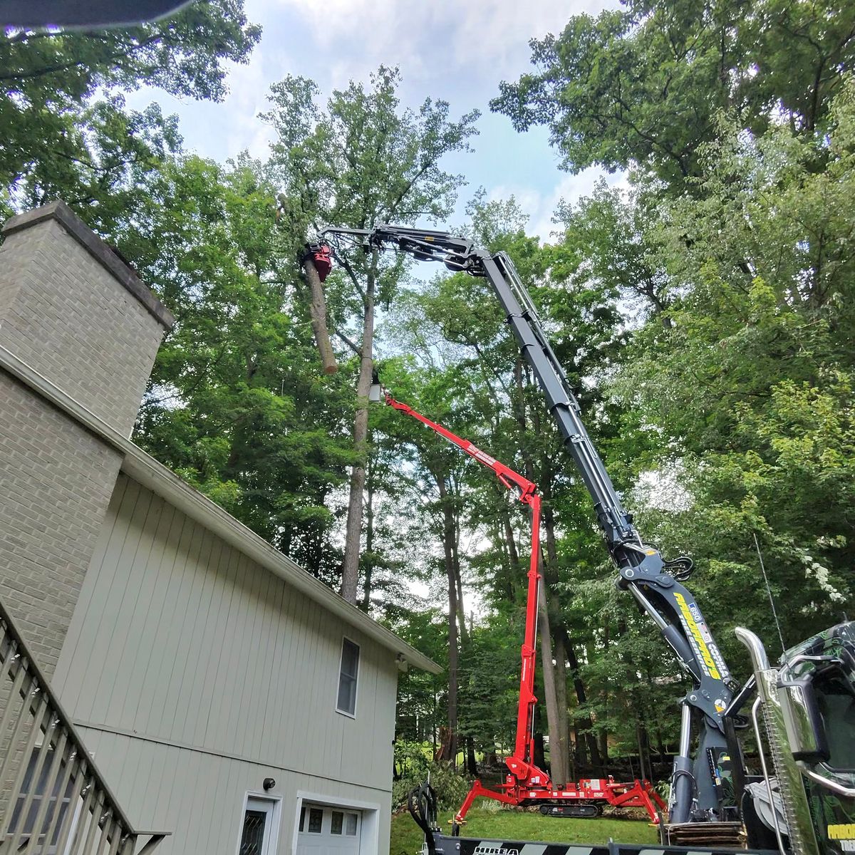 Crane and spider lift removing a tree behind a brick house